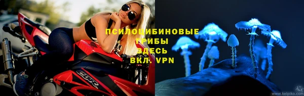 шишки Алзамай