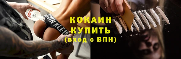 прущие грибы Няндома
