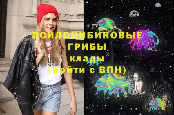 spice Алексеевка